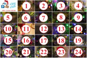 Calendrier de lavent Calendrier de l'avent Noël